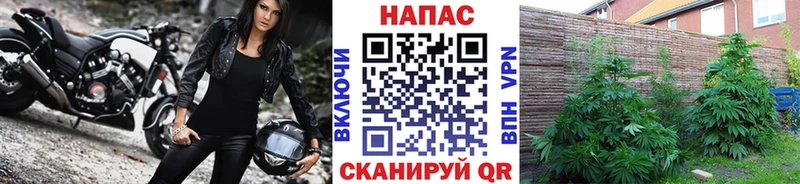 Все наркотики Петрозаводск Гашиш  КОКАИН  Меф 
