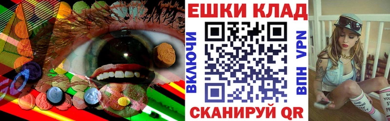 где купить наркоту  Петрозаводск  Ecstasy mix 