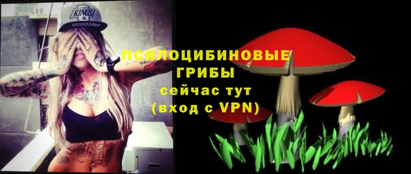 прущие грибы Мегион