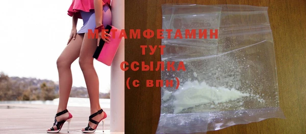 прущие грибы Мегион