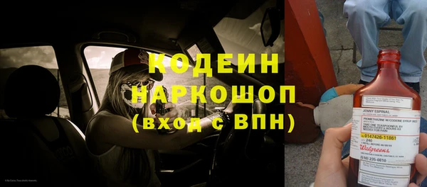 прущие грибы Мегион