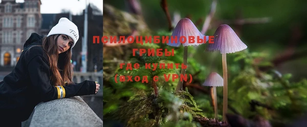 гидропоника Магадан