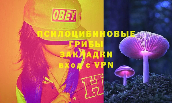 соль ск Медногорск