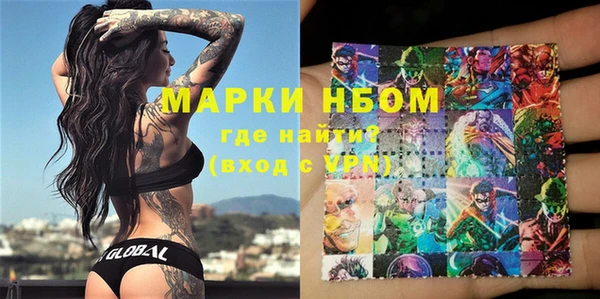 прущие грибы Медвежьегорск