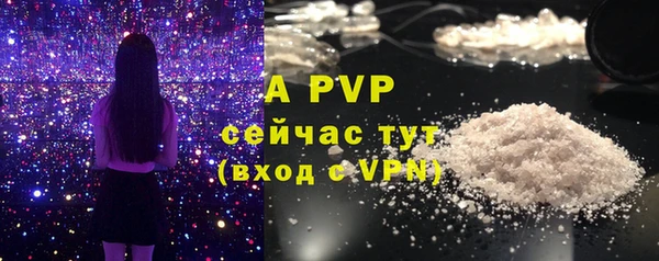 прущие грибы Мегион