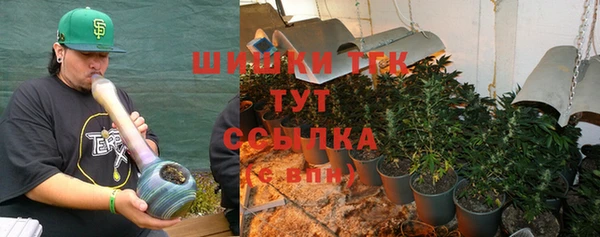 прущие грибы Мегион