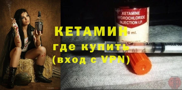 прущие грибы Мегион