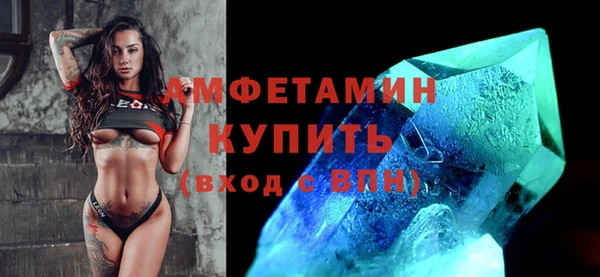 прущие грибы Медвежьегорск