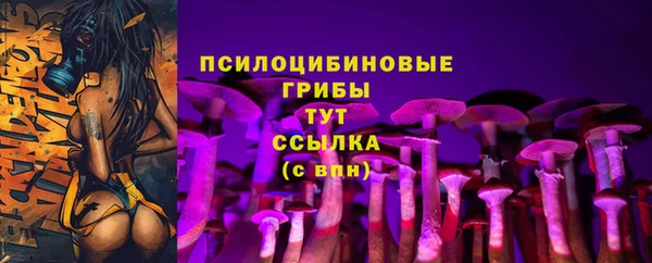 соль ск Медногорск