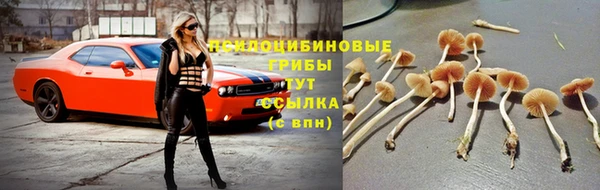 соль ск Медногорск