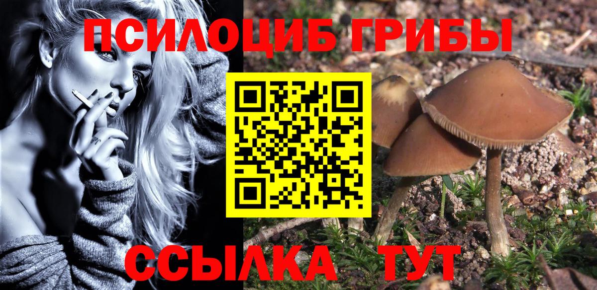 Псилоцибиновые грибы Cubensis  Псилоцибиновые грибы Magic Shrooms  Вход с VPN  Петрозаводск 